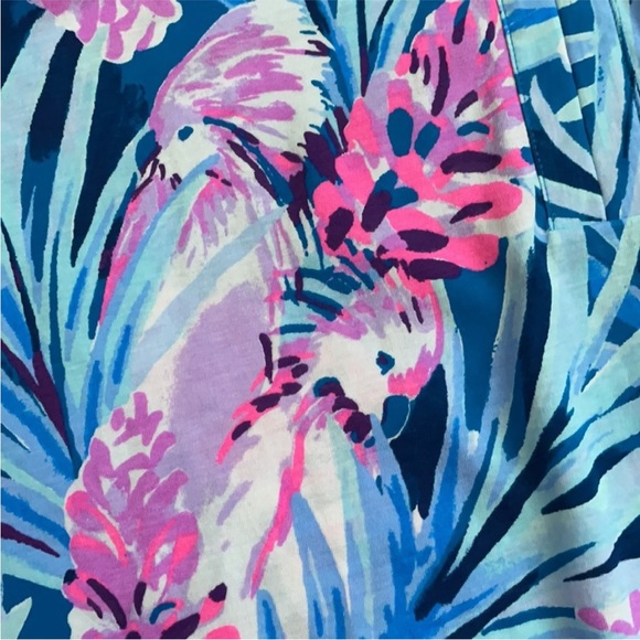 NWOT Lilly Pulitzer Daphne Dress - Picture 12 of 12